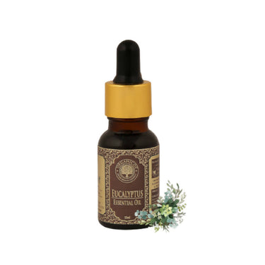 https://cdn.shopify.com/s/files/1/1857/6931/products/HJyOJBIrEt.jpg?v=1663756442